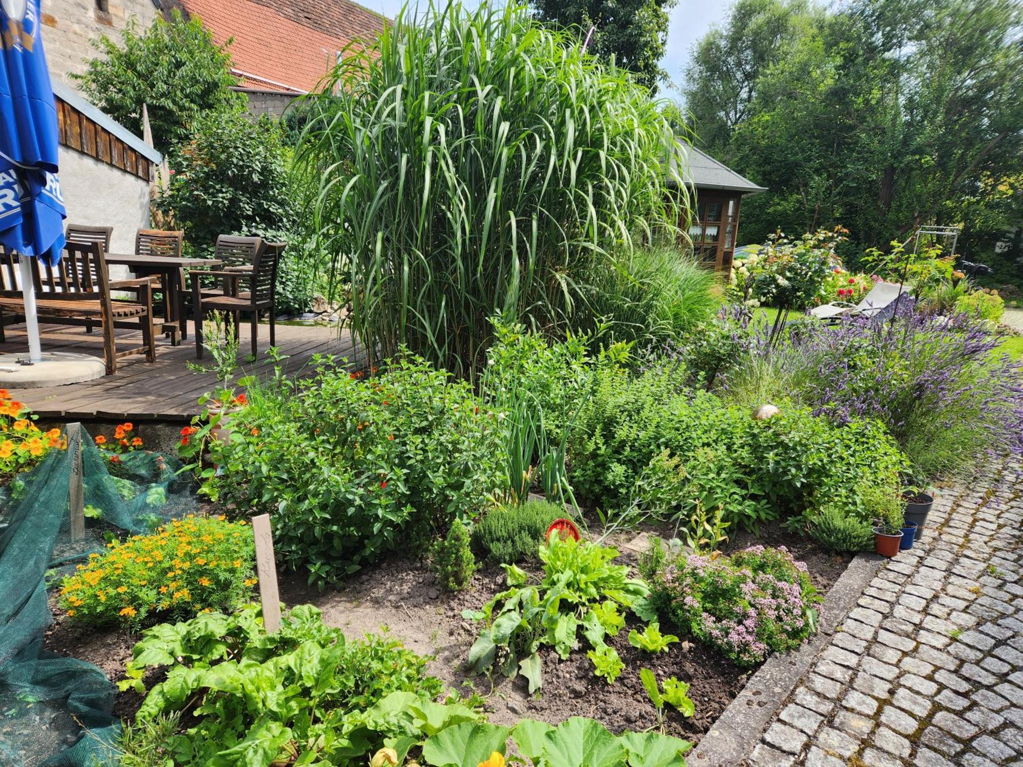 Familienfreundlich Im Naturpark Hassberge Mit Gehobener Gastronomie Kirchlauter エクステリア 写真